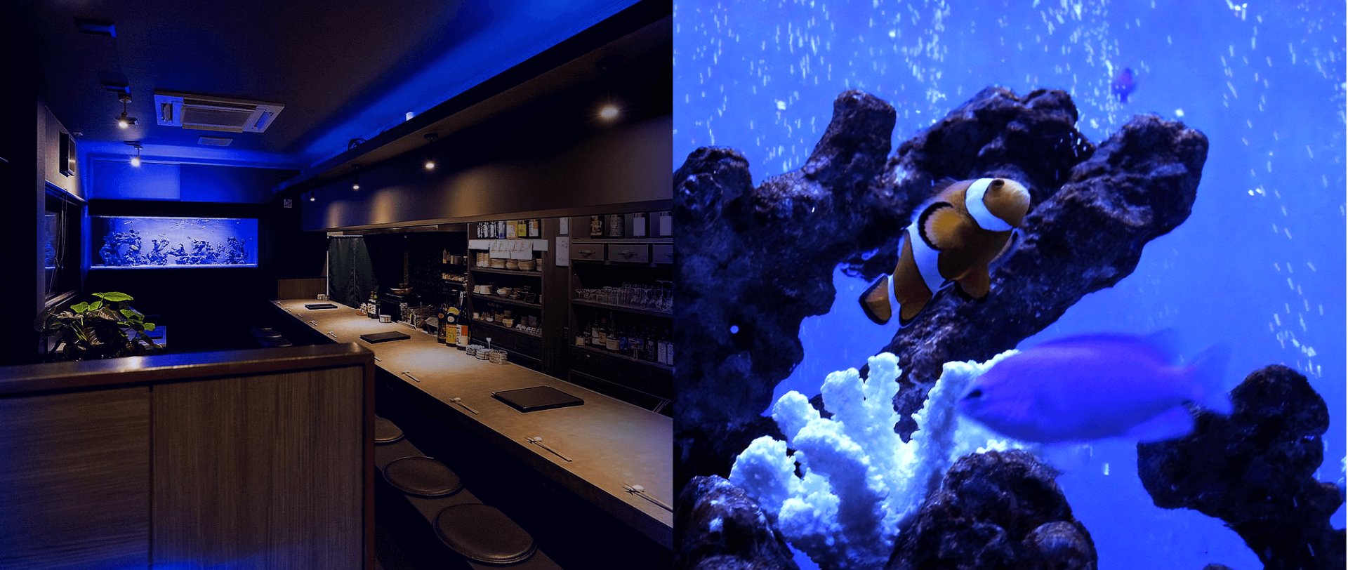 Dining bar Deep blue