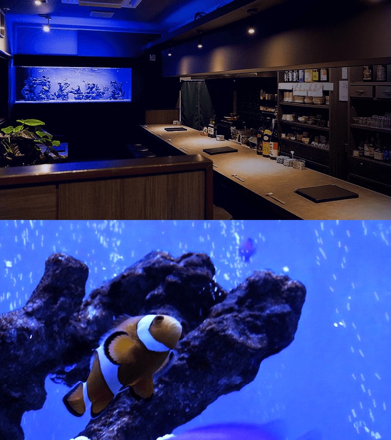 Dining bar Deep blue